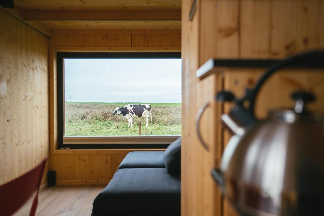 Tiny House Nature 13 Zur Kuhweide - Green Tiny Village Harlesiel 卡罗利嫩西尔 外观 照片