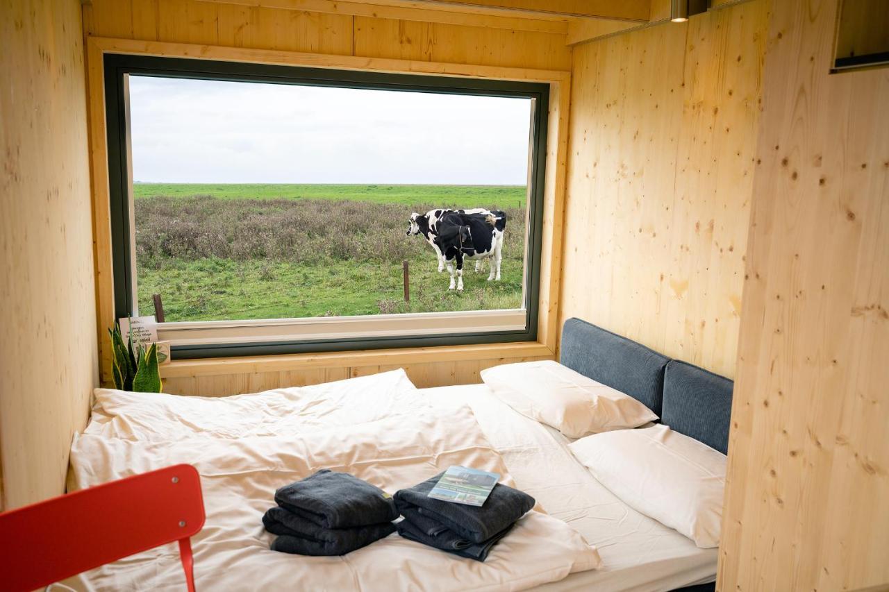 Tiny House Nature 13 Zur Kuhweide - Green Tiny Village Harlesiel 卡罗利嫩西尔 外观 照片